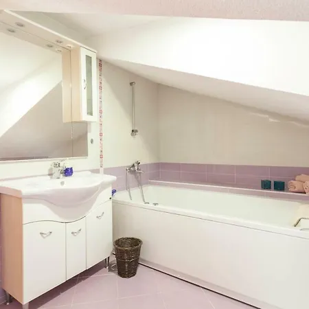 Apartment Penthouse Slavija *