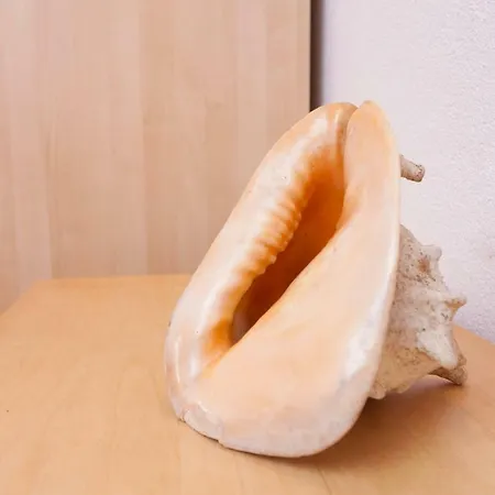 Penthouse Slavija * 마카르스카