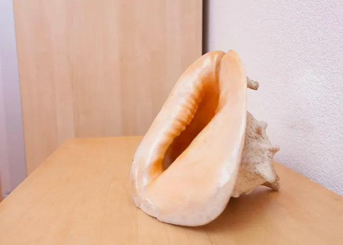 Penthouse Slavija * Makarska